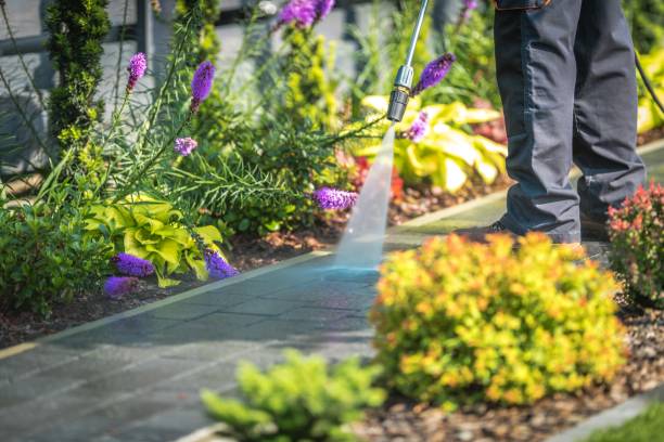 Best Boat and Dock Cleaning  in Pleasant Hill, PA